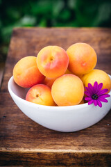 White ceramic bowl with ripe apricots on a wooden table in the garden