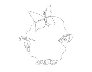 Continuous one line drawing of butterfly life cycle. One line drawing illustration of butterfly metamorphosis. Butterfly transformation concept continuous line art. Editable outline.