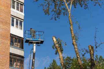 employee rises on a car tower to saw off dangerously growing branches