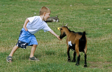 Enfant avec chèvre