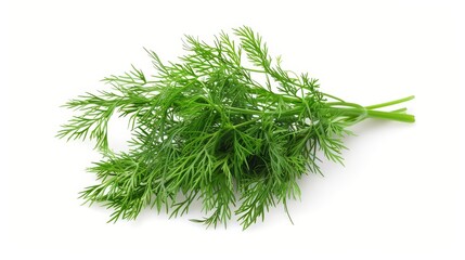 Fototapeta premium Fresh dill herb isolated on white background