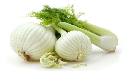 Fresh organic fennel bulbs and fronds on white background.