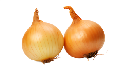 A pair of onions with a Transparent background.