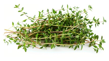 Fresh thyme sprigs isolated on white background.