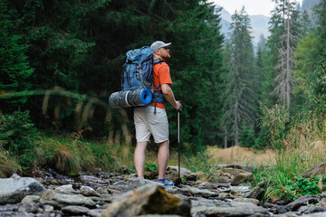Traveling man walking in mountains with trekking pole
