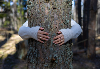 Beautiful female hands hug the trunk of a mighty tree in the forest. A woman protects the tree by...
