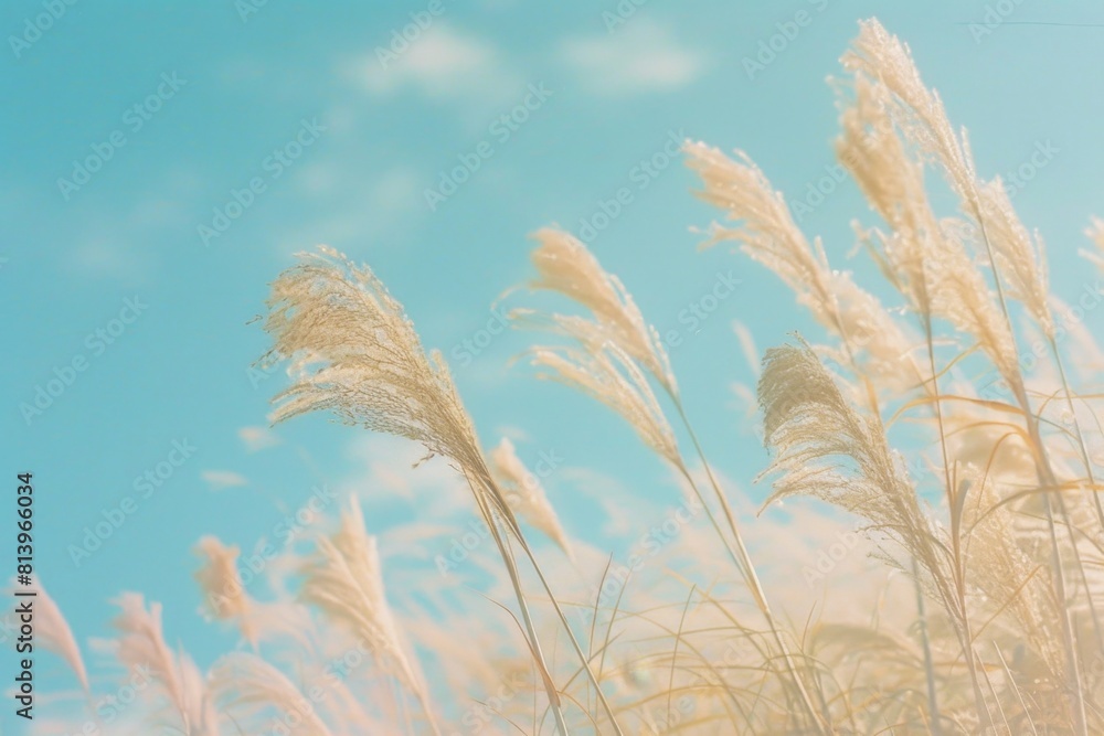 Poster a serene and tranquil scene of tall grass swaying gently in the breeze, with soft sunlight filtering