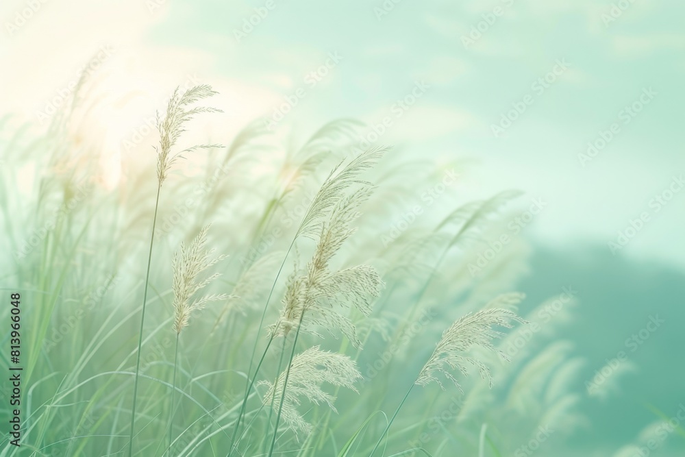 Poster a blurred background of tall grasses swaying in the breeze, with soft sunlight filtering through the