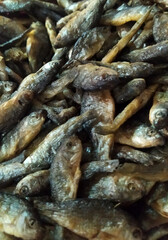 Various types of small fish are sold in traditional market