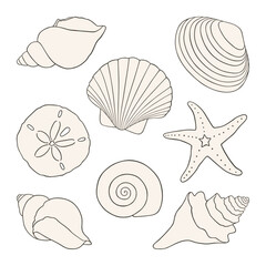 Hand Drawn Vector Seashells. Including Starfish, Scallop, Sand Dollar, and Clam Shell