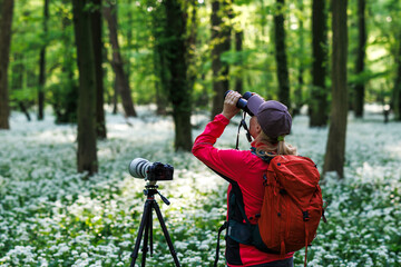 Wildlife photographer is bird watching in forest. Woman with binoculars looking for birds in spring woodland