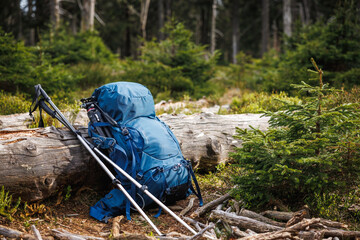 Backpack with tripod and hiking pole during trekking in forest. Outdoor equipment for hike and...