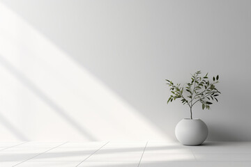 Minimal style interior room with white wall ."3D rendering 