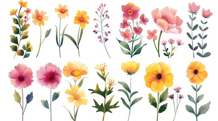 Vibrant and Colorful Assortment of Blooming Flowers in Various Shapes and Hues for Floral Design and Nature Backgrounds