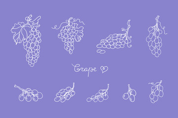 Large set of grape, bunch of grapes, grape vine and grape leaves. Vineyard. Winery. Vector illustration in doodle style. Hand drawn. Isolated on white background