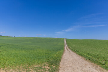 Fototapeta na wymiar Spring landscape. Green fields and meadows with blue sky and white clouds.