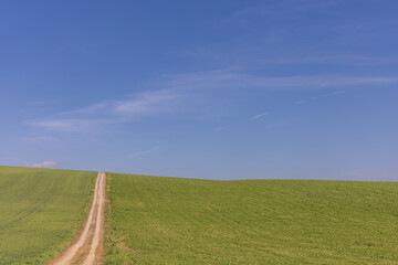 Spring landscape. Green fields and meadows with blue sky and white clouds.