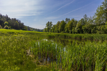 Spring landscape. Green fields and meadows with blue sky and white clouds.