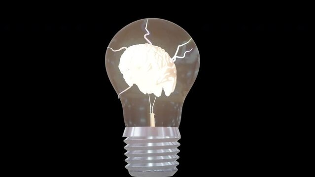 Light Bulb Moment: Brain
