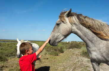 Enfant et Cheval