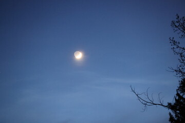 moon in the sky in the evening