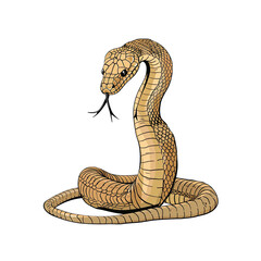 Fototapeta premium A Cartoon Cobra Snake, Cartoon Illustration