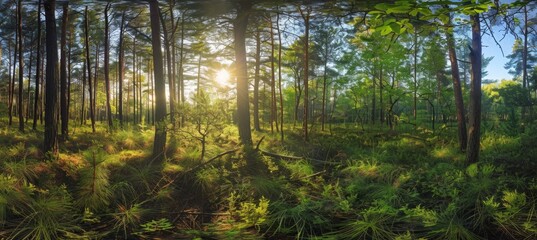 A panoramic view of the sun shining through trees in an enchanting forest, casting dappled light on lush green foliage and tall pines Generative AI