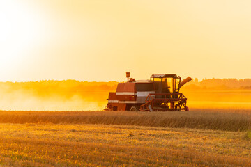 Agricultural harvester harvesting in the field at sunset. A combine harvester works on a field at...