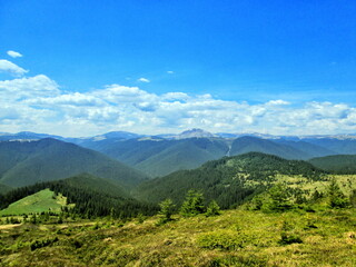 Beautiful Spring in the Mountains