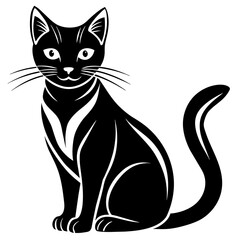 black and white cat