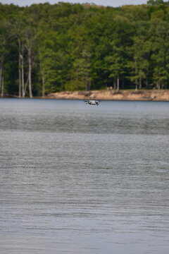 Drone on water