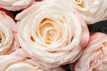 Delicate pastel roses close-up.