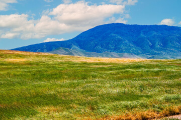 Green and golden pastures with mountains beyond.