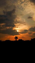 evening sky  with a beautiful orange color 