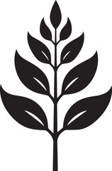 Leaf from Palm Tree, Fern Leaves, Bracken. Flat Vector Icon illustration. Simple black symbol on white background. Leaf from Palm Tree, Fern Leaves sign design template for web and mobile UI element.