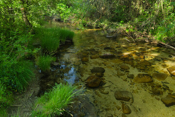 landscape, view, nature, plants, water, stream, mountain, flora,