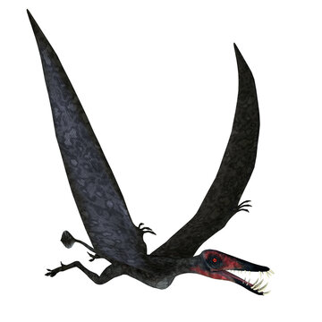 Dorygnathus Pterosaur in Flight - Dorygnathus was a genus of pterosaur that lived in Europe, Germany in the Jurassic Period.