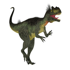 Megalosaurus Carnivorous Dinosaur - Megalosaurus was a large carnivorous theropod dinosaur that lived in the Jurassic Period of Europe.