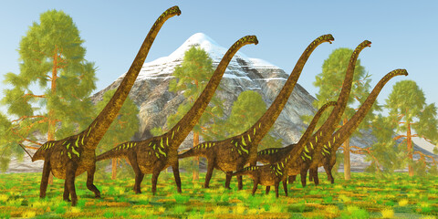 Mamenchisaurus Sauropod Dinosaur Herd - Mamenchisaurus was a plant-eating sauropod dinosaur from the late Jurassic Period of China. © Catmando