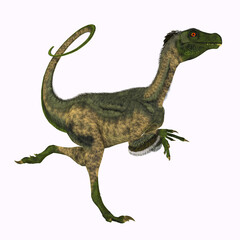 Ornitholestes Dinosaur Running - Ornitholestes was a small carnivorous dinosaur that lived in the Jurassic Period of Western Laurasia which is now North America.