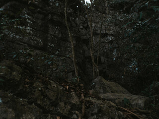 Rugged forest with rocky terrain