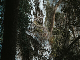 rock cascading over rocky cliff.