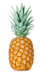 Fototapeta premium pineapple isolated on white background