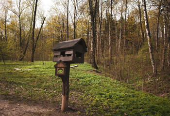 An old birdhouse in a green garden. A wooden birdhouse.