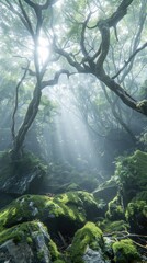 Aokigahara Forest, where ancient trees and shadows intertwine.