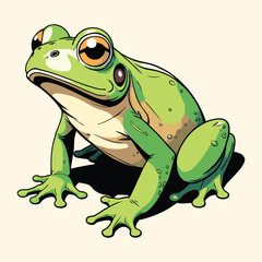 Cute Frog Illustration Cartoon Style