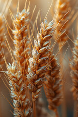 Abstract art showing close-up textures of barley grains, with each kernel artistically enlarged to...