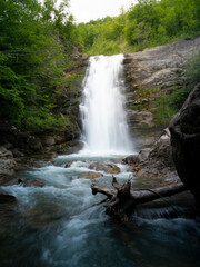 Obraz premium waterfall in the forest