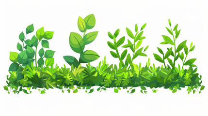 set of trees, green bush and grass