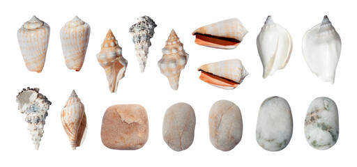 Sea shells and and sea pebble of various shapes set isolated. Summer vacation design element ocean, sea or beach. PNG with transparent background. Clipping path. Flat lay